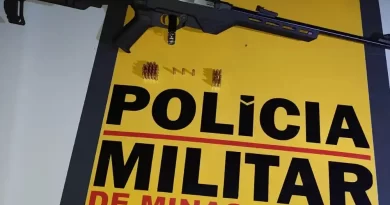 Homem de 66 anos é preso com rifle e munições em Juiz de Fora