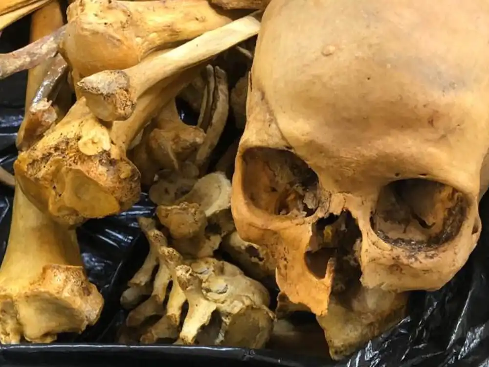 Ossada humana é encontrada em cidade da Zona da Mata