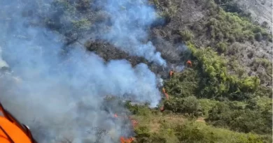 Incêndio de grandes proporções ameaça Mata do Krambeck em Juiz de Fora