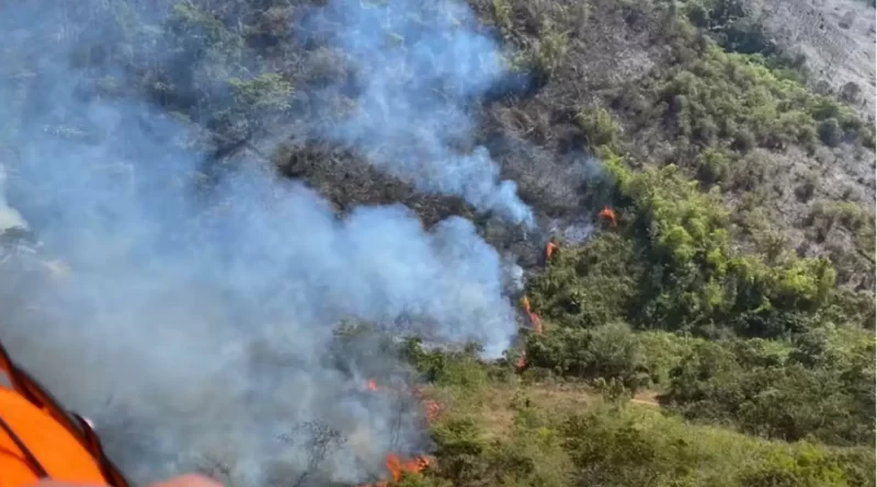 Incêndio de grandes proporções ameaça Mata do Krambeck em Juiz de Fora